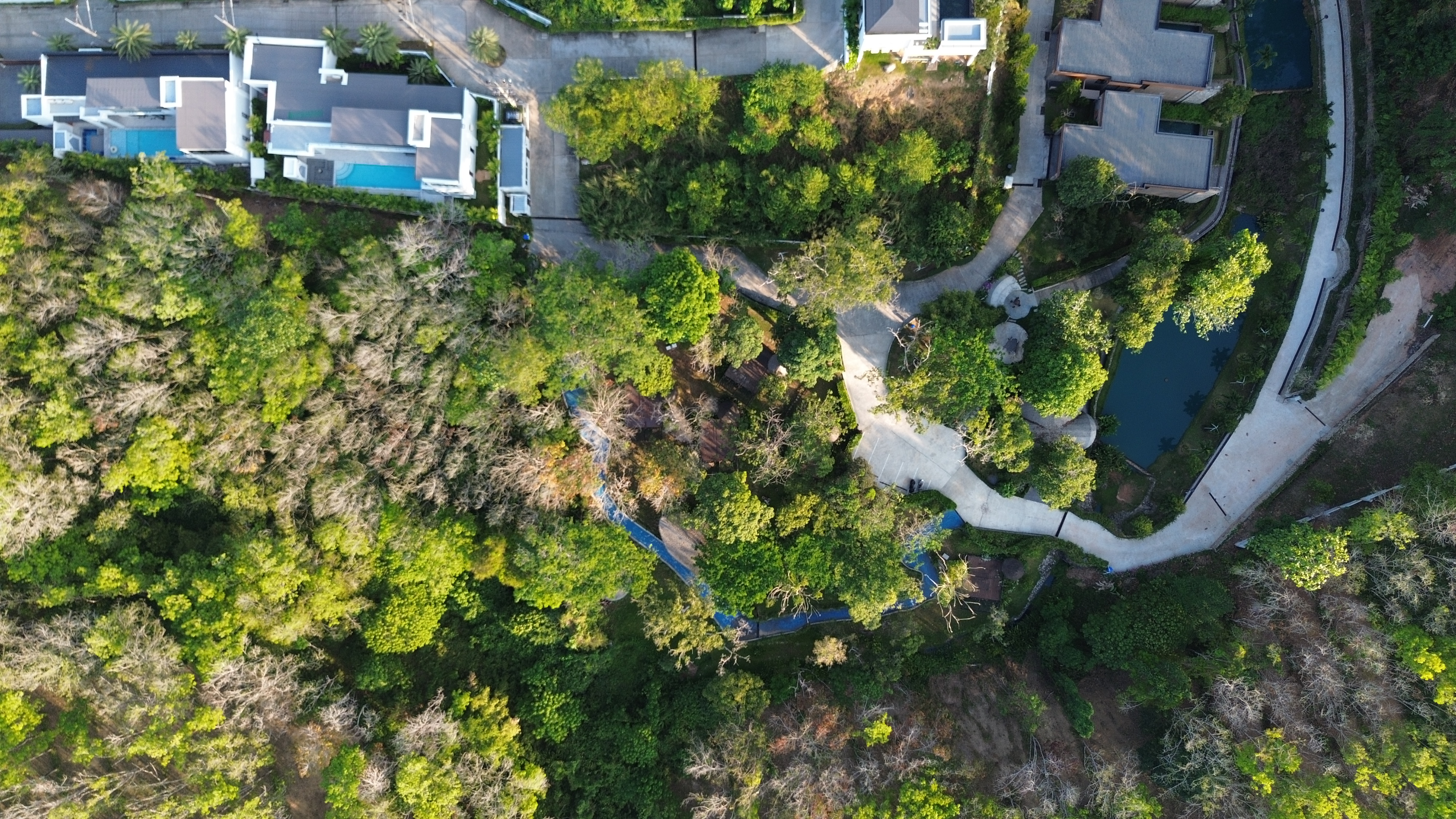 Aerial view - villa detail